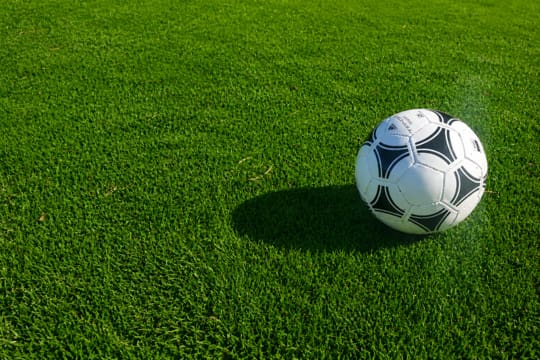 Sportrasen fr die Neuanlage RSM 3.1 mit robuster Grasnarbe