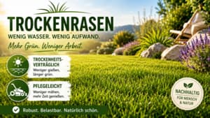 Trockenrasen – Expertenwissen für Ihren perfekten trockenheitsverträglichen Rasen!