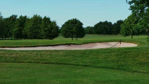 Golfrasenmischung GOLF 4105 zur Greens-Nachsaat Golfrasenmischung GOLF 4105 zur Greens-Nachsaat