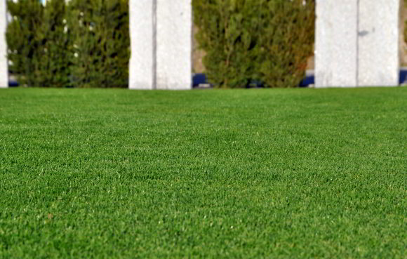 Mähroboterrasen - dicht, belastbar und toll anzusehen